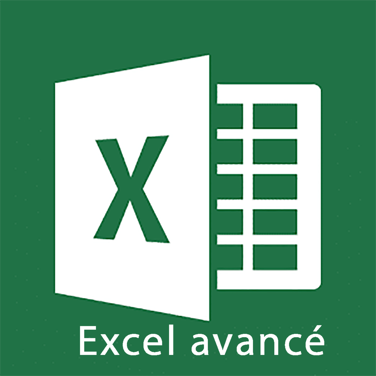 Excel Avancé